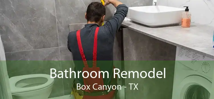 Bathroom Remodel Box Canyon - TX