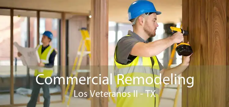 Commercial Remodeling Los Veteranos II - TX